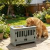 Gray Dog Feeding Station