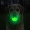 Glow in the Dark Glitter Ball 2-Pack Dog Toy