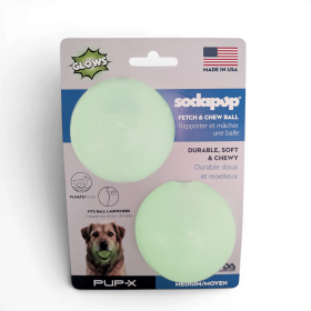 Glow in the Dark Glitter Ball 2-Pack Dog Toy