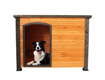 45" Dog House Outdoor