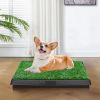 Indoor/Outdoor Pet Loo Dog Litter Box
