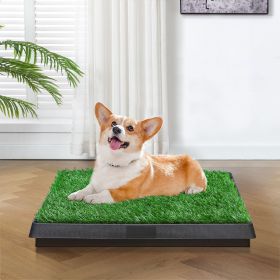 Indoor/Outdoor Pet Loo Dog Litter Box