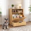 Dog Hidden Feeding Station with Storage & 2 Elevated Bowls