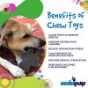 Gingerbread Man Nylon Dog Chew Toy for Aggressive Chewers