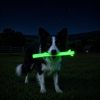 Nylon Glow in the Dark Chew Stick for Power Chewers