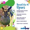 Magnum Bottle Top Flyer Rubber Flying Disc for Heavy Chewers