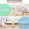 toyseagi Interactive Dog Toys â€“ Durable Automatic Bouncing & Vibrating Interactive Dog Ball for Smart Play