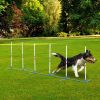 Dog Weave Pole Set, Agility Starter Kit for Outdoor Training