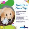 Snowflake Nylon Dog Chew Toy for Aggressive Chewers