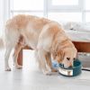 Heated Water Bowl for Dogs