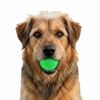 Green Glitter Ball 2-Pack Dog Toy | Soft PUP-X Rubber Floating Fetch Ball with Treat Dispenser | USA Made