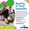 4" Glow-in-the-Dark Dog Ball - Treat Dispenser & Water Toy | USA Made