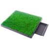 Indoor/Outdoor Pet Loo Dog Litter Box