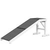 PawHut 60" Pet Ramp for Dogs & Cats, Non-Slip Carpet, Easy Access, White