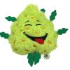 My Name is Bud, Funny Squeaky Weed Dog Toy, Cute Stuffed Parody Pot Nug, Cool Plush 420 Novelty Gift for Pets & Their Owners, Sized for Puppies & Smal
