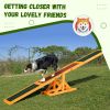 PawHut Wooden Dog Agility Seesaw, Training and Exercise Equipment, Weather Resistant, 71" L, Natural