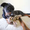 Steel Dog - Roper Prairie Chipmunk