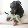Steel Dog - Ruffian Dino T-Rex