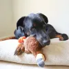 Steel Dog - Ruffian Dodo Bird