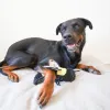 Steel Dog - Ruffian Flyer Bumblebee