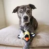 Steel Dog - Ruffian Yellow Finch