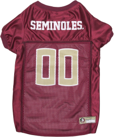 Florida State Pet Jersey (size: LG)