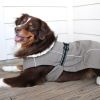 Alpine Tuf Terrain Dog Coat - Dried Sage