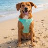 American River Choke Free Dog Harness Polka Dot Collection - Teal