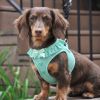 American River Choke Free Dog Harness Polka Dot Collection - Teal