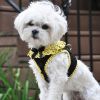 American River Choke Free Dog Harness Polka Dot Collection - Yellow and Black