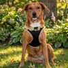 American River Choke Free Dog Harness Polka Dot Collection - Yellow and Black