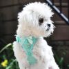 American River Choke Free Dog Harness Polka Dot Collection - Teal Polka Dot