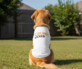 Crumb Licker Dog Shirt - White