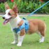 Reflective Pet Harness And Leash Set For Dog With Breathable Mesh