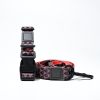 Trendy Printed PVC Dog Leash & Collar Set