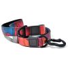 Trendy Gradient Printed PVC Dog Leash & Collar Set, Waterproof Durable Pet Lead with Unique Pattern, Adjustable for Small Medium Large Dogs