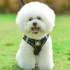 Reflective Pet Harness And Leash Set For Dog With Breathable Mesh