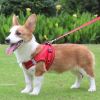 Reflective Pet Harness And Leash Set For Dog With Breathable Mesh