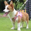 Reflective Pet Harness And Leash Set For Dog With Breathable Mesh