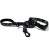 Graffiti Waterproof Dog Collar and Leash Set