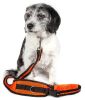 Hands Free And Convertible 2-In-1 Training Dog Leash And Pet Belt With Pouch