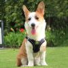 Reflective Pet Harness And Leash Set For Dog With Breathable Mesh