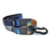 Trendy Gradient Printed PVC Dog Leash & Collar Set, Waterproof Durable Pet Lead with Unique Pattern, Adjustable for Small Medium Large Dogs