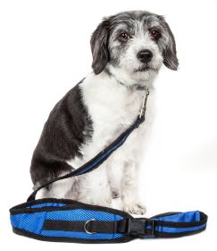 Hands Free And Convertible 2-In-1 Training Dog Leash And Pet Belt With Pouch (Color: Blue)