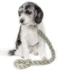 Tough-Tugger Industrial-Strength Shock Absorption Woven Dog Leash (Color: Olive)
