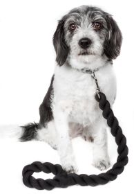 Tough-Tugger Industrial-Strength Shock Absorption Woven Dog Leash (Color: Navy)