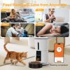 4-liter Capacity Intelligent Pet Food Dispenser