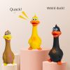 Duck/Chicken Latex Sounding Bite Resistant Dog Toy