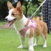 Reflective Pet Harness And Leash Set For Dog With Breathable Mesh