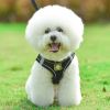 Reflective Pet Harness And Leash Set For Dog With Breathable Mesh